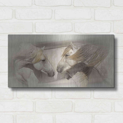 Luxe Metal Art 'Old Acquaintances' by PH Burchett, Metal Wall Art,24x12
