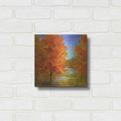 Luxe Metal Art 'Burst of Autumn Color' by Sheila Finch, Metal Wall Art,12x12