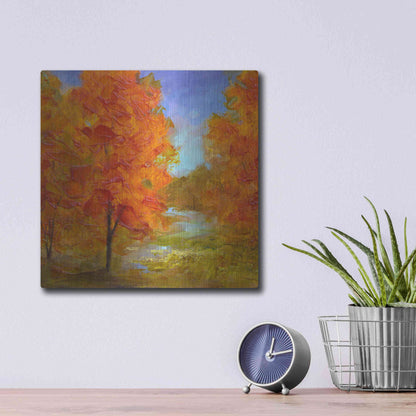 Luxe Metal Art 'Burst of Autumn Color' by Sheila Finch, Metal Wall Art,12x12