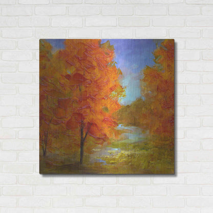 Luxe Metal Art 'Burst of Autumn Color' by Sheila Finch, Metal Wall Art,36x36