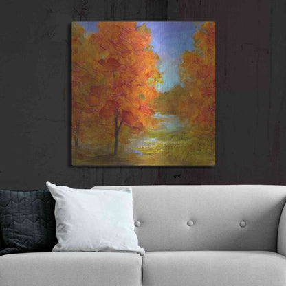 Luxe Metal Art 'Burst of Autumn Color' by Sheila Finch, Metal Wall Art,36x36