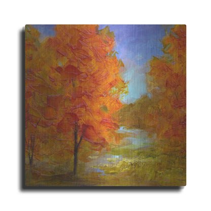 Luxe Metal Art 'Burst of Autumn Color' by Sheila Finch, Metal Wall Art