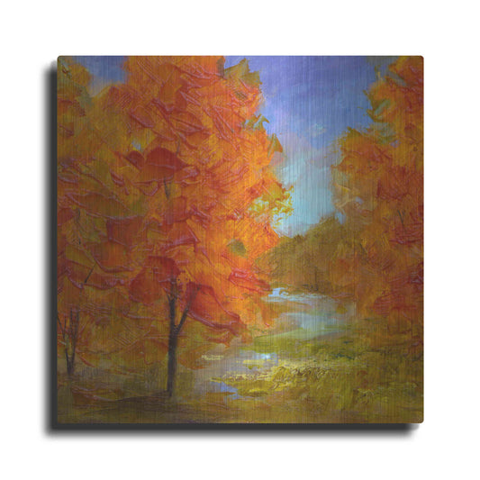 Luxe Metal Art 'Burst of Autumn Color' by Sheila Finch, Metal Wall Art