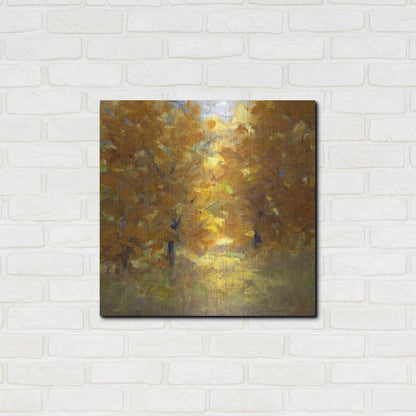 Luxe Metal Art 'Cottonwoods' by Sheila Finch, Metal Wall Art,24x24