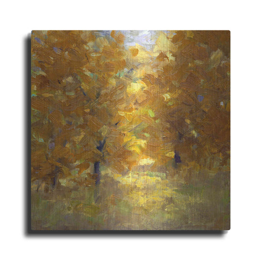 Luxe Metal Art 'Cottonwoods' by Sheila Finch, Metal Wall Art