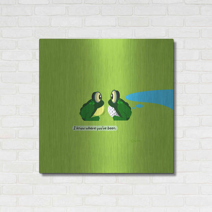 Luxe Metal Art 'I Know Where You've Been' by Chuck Wimmer, Metal Wall Art,36x36