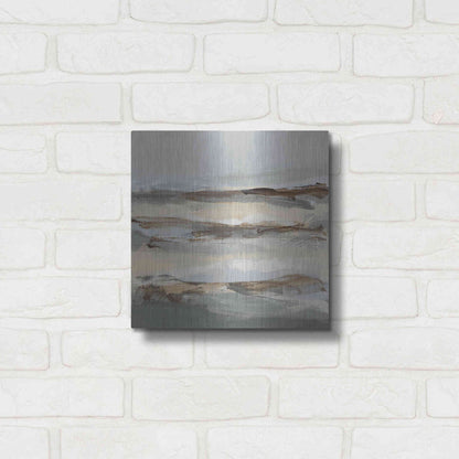 Luxe Metal Art 'Winter Sun I' by Christina Long, Metal Wall Art,12x12