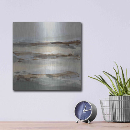 Luxe Metal Art 'Winter Sun I' by Christina Long, Metal Wall Art,12x12