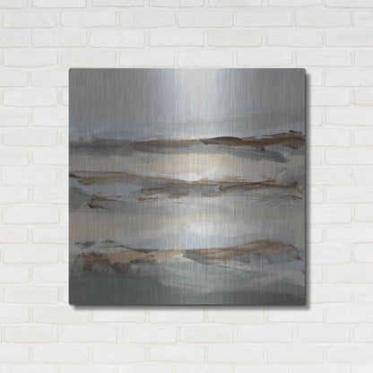 Luxe Metal Art 'Winter Sun I' by Christina Long, Metal Wall Art,36x36