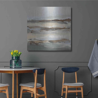 Luxe Metal Art 'Winter Sun I' by Christina Long, Metal Wall Art,36x36