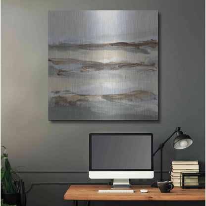 Luxe Metal Art 'Winter Sun I' by Christina Long, Metal Wall Art,36x36
