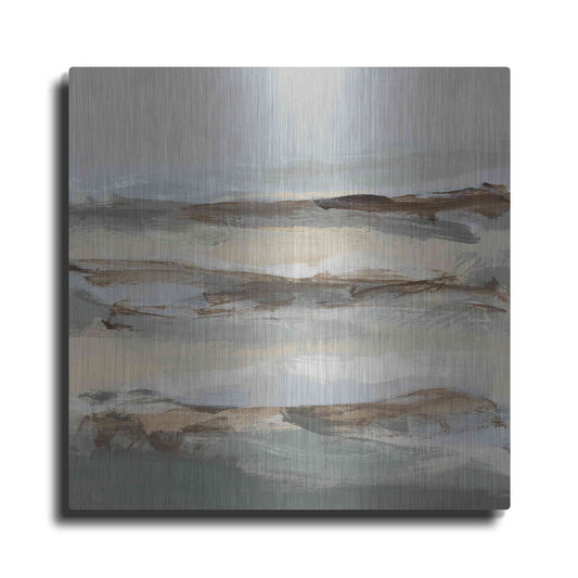 Luxe Metal Art 'Winter Sun I' by Christina Long, Metal Wall Art