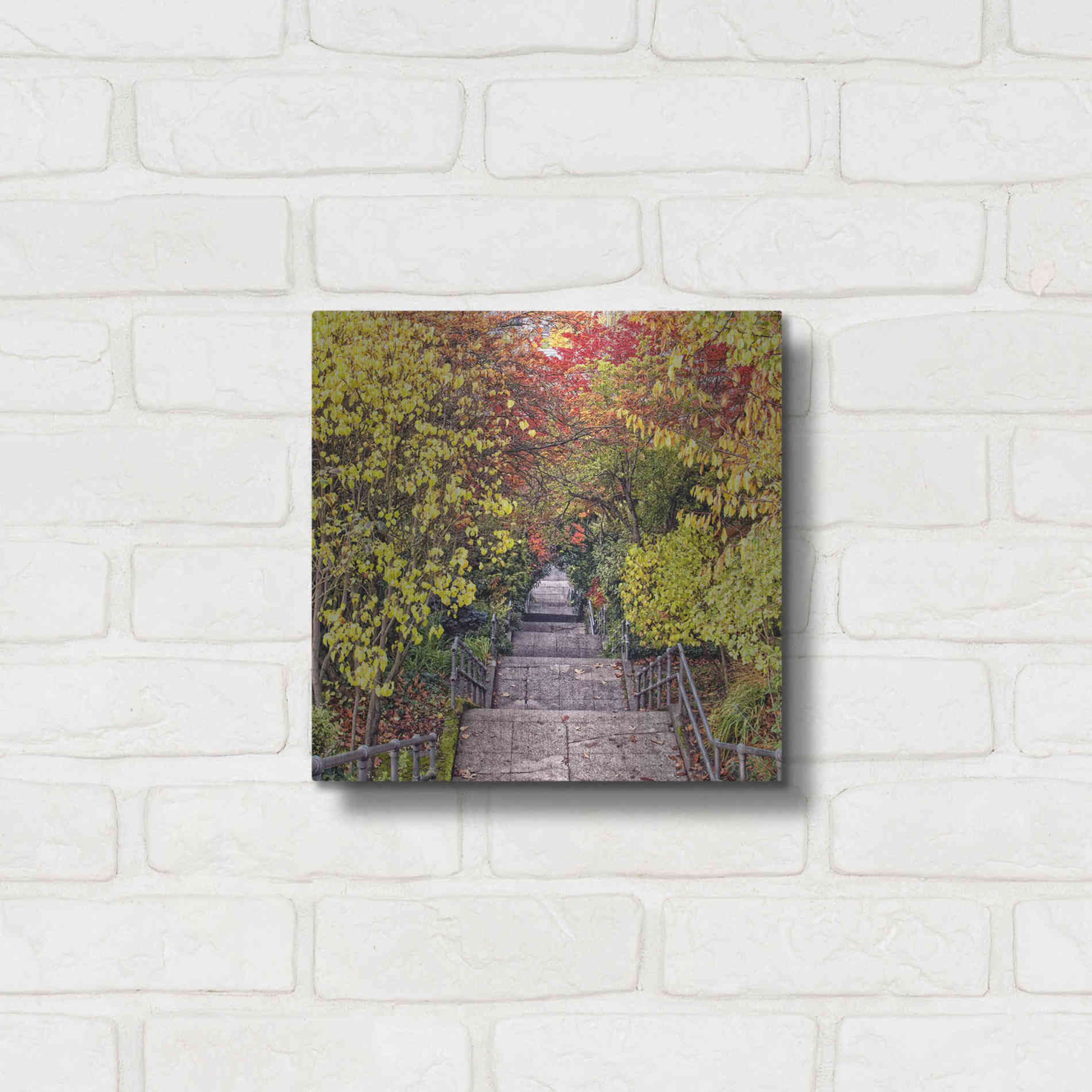 Luxe Metal Art 'Autumn Tunnel' by Colby Chester, Metal Wall Art,12x12