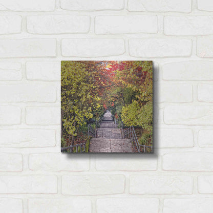 Luxe Metal Art 'Autumn Tunnel' by Colby Chester, Metal Wall Art,12x12