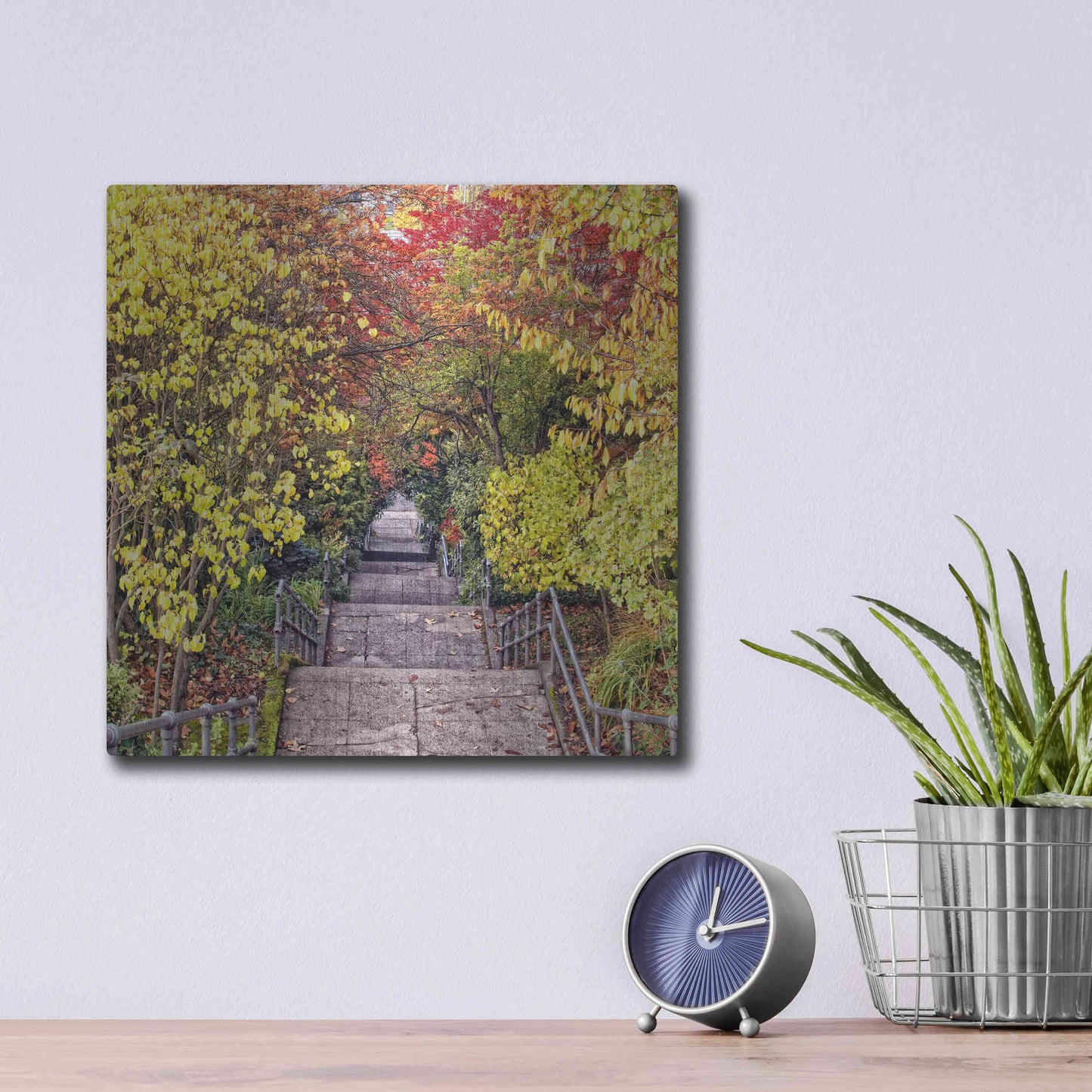 Luxe Metal Art 'Autumn Tunnel' by Colby Chester, Metal Wall Art,12x12