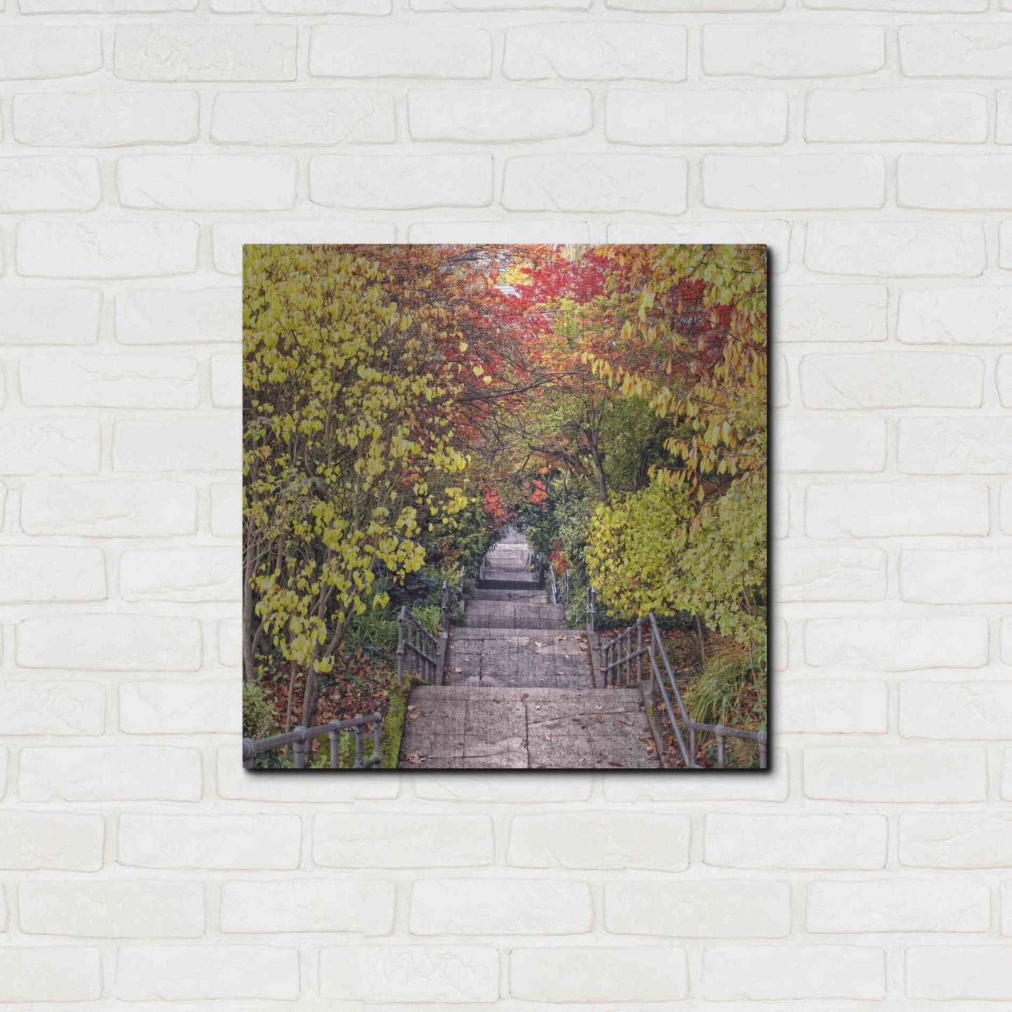 Luxe Metal Art 'Autumn Tunnel' by Colby Chester, Metal Wall Art,24x24