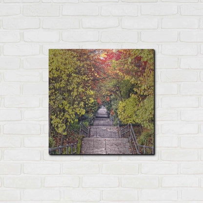 Luxe Metal Art 'Autumn Tunnel' by Colby Chester, Metal Wall Art,24x24