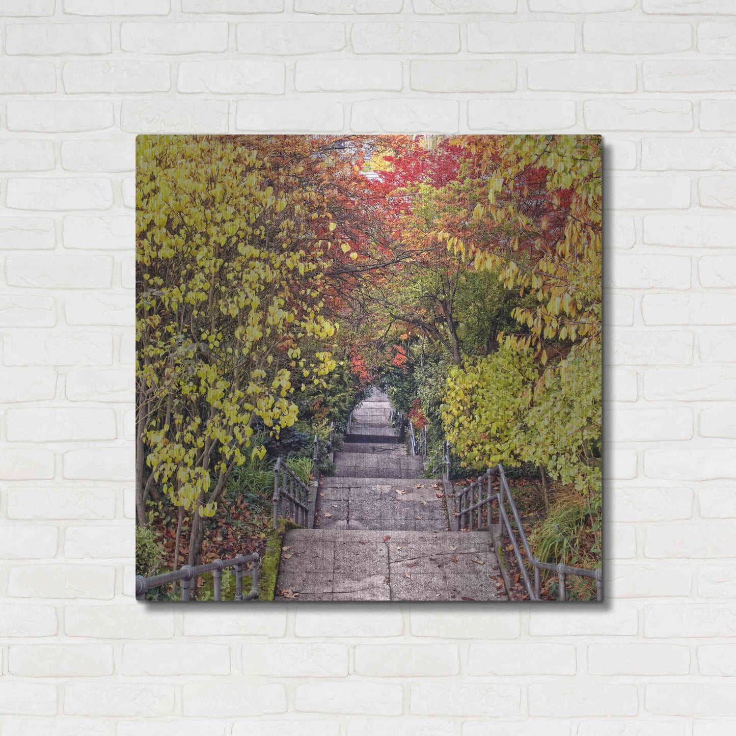 Luxe Metal Art 'Autumn Tunnel' by Colby Chester, Metal Wall Art,36x36
