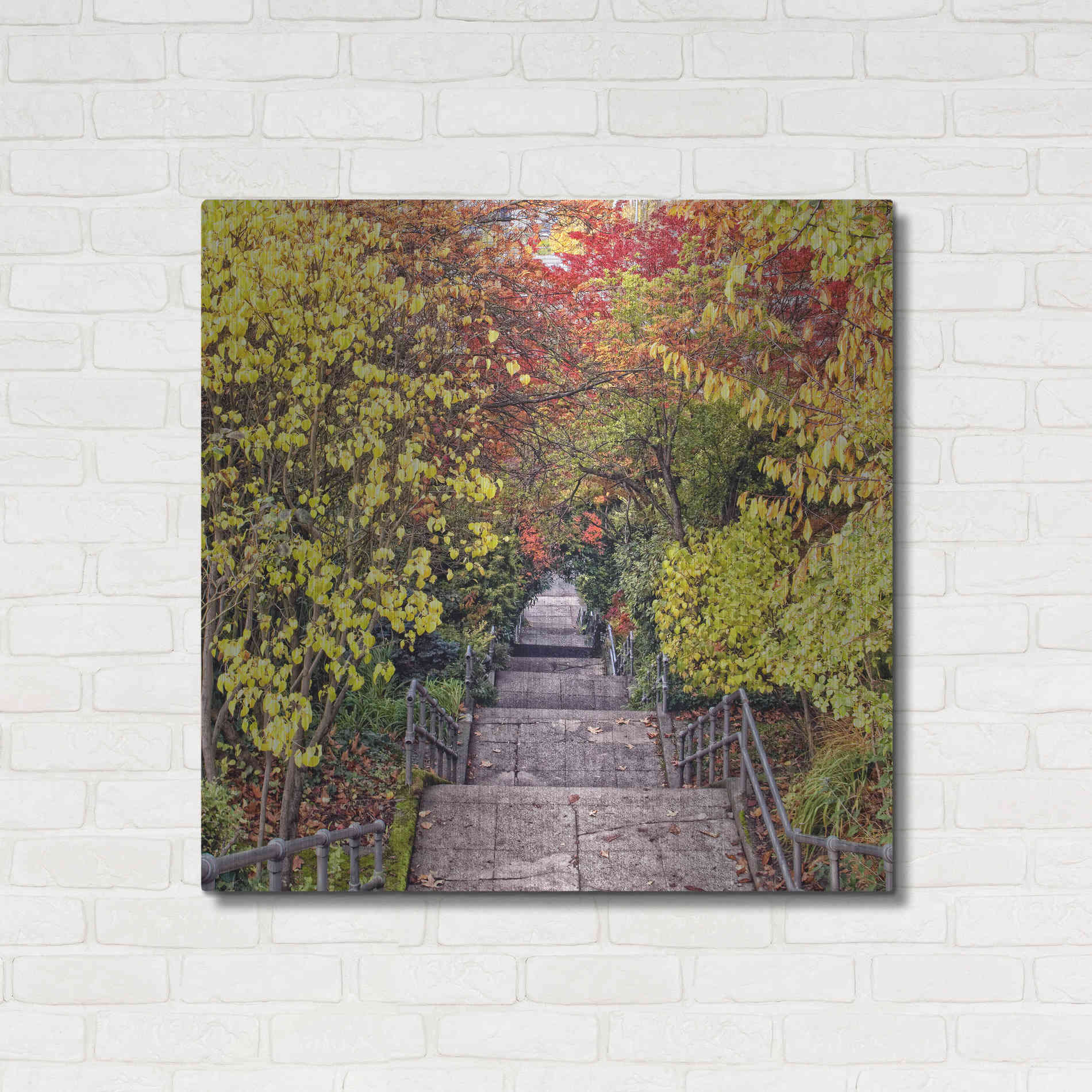 Luxe Metal Art 'Autumn Tunnel' by Colby Chester, Metal Wall Art,36x36