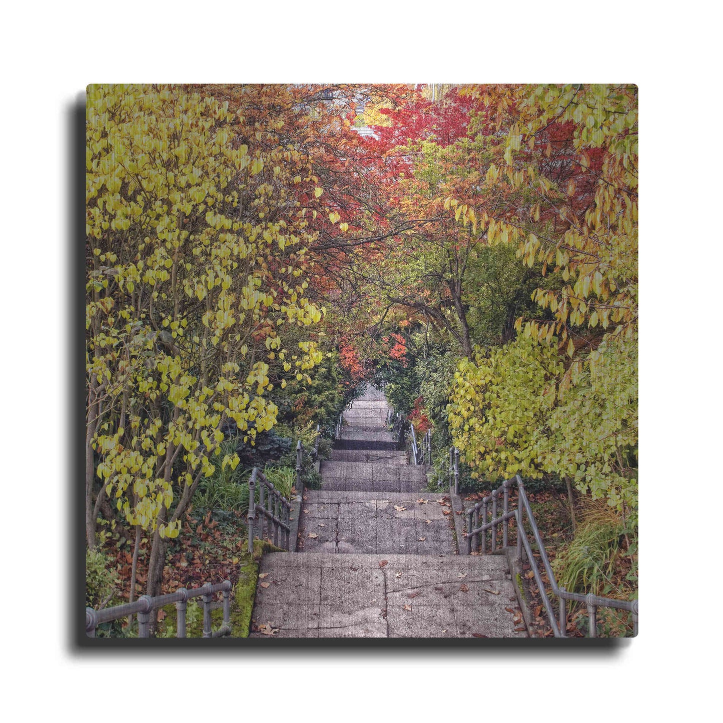 Luxe Metal Art 'Autumn Tunnel' by Colby Chester, Metal Wall Art