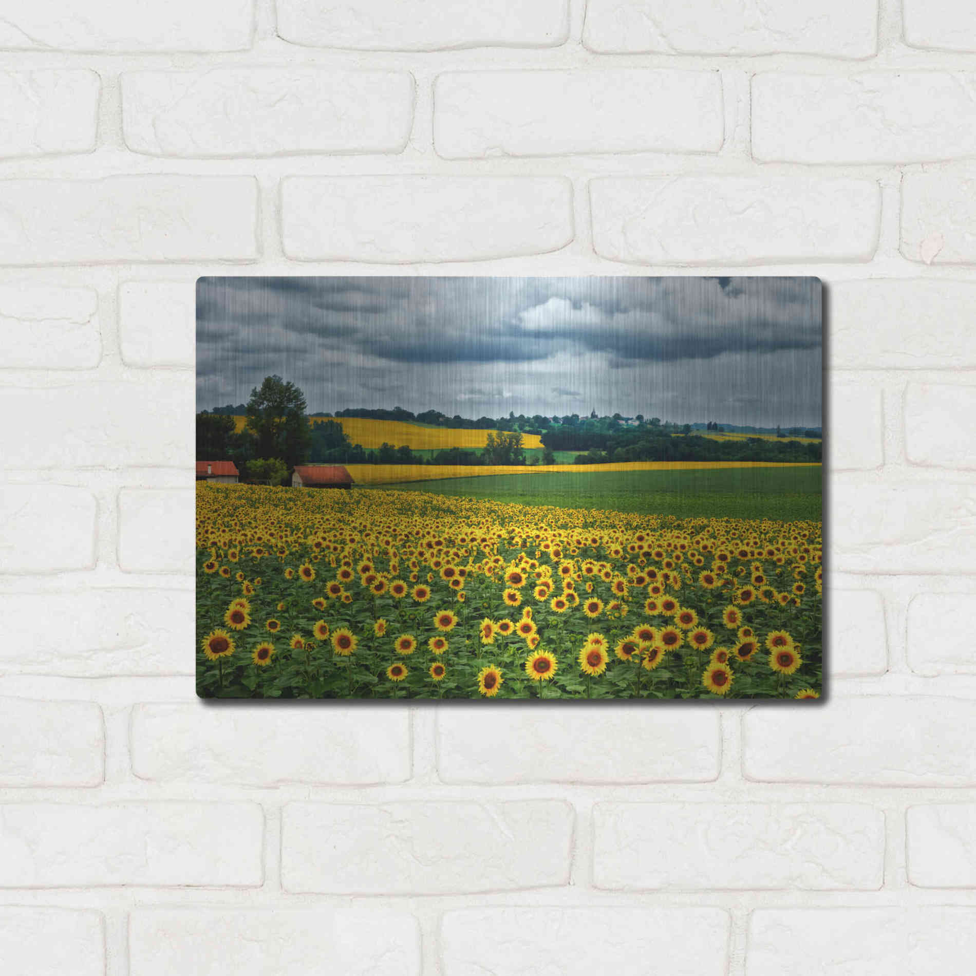 Luxe Metal Art 'Pastoral Countryside IV' by Colby Chester, Metal Wall Art,16x12