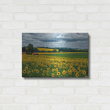 Luxe Metal Art 'Pastoral Countryside IV' by Colby Chester, Metal Wall Art,24x16