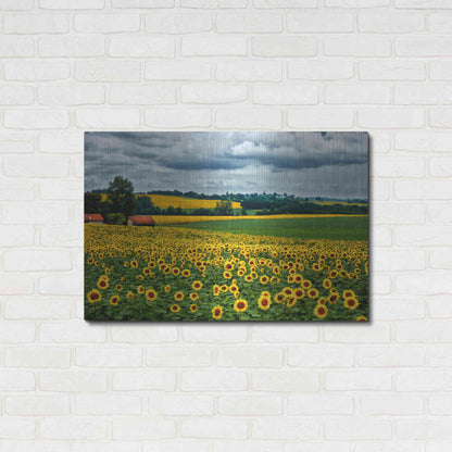 Luxe Metal Art 'Pastoral Countryside IV' by Colby Chester, Metal Wall Art,36x24