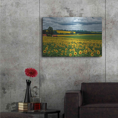 Luxe Metal Art 'Pastoral Countryside IV' by Colby Chester, Metal Wall Art,36x24
