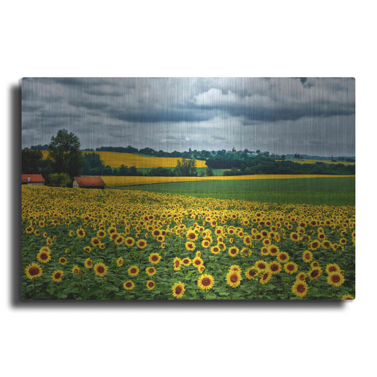 Luxe Metal Art 'Pastoral Countryside IV' by Colby Chester, Metal Wall Art