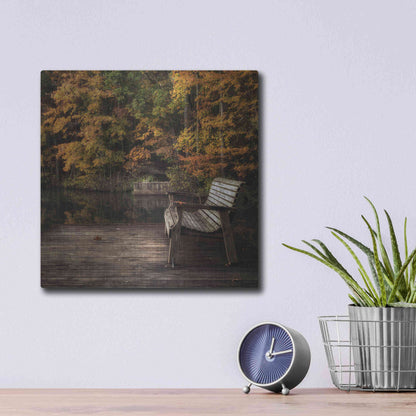 Luxe Metal Art 'Autumn Rest' by Danny Head, Metal Wall Art,12x12