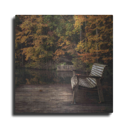 Luxe Metal Art 'Autumn Rest' by Danny Head, Metal Wall Art