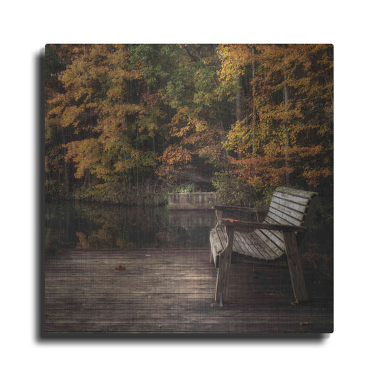 Luxe Metal Art 'Autumn Rest' by Danny Head, Metal Wall Art