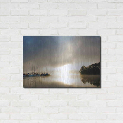 Luxe Metal Art 'Breaking Through I' by Danny Head, Metal Wall Art,36x24