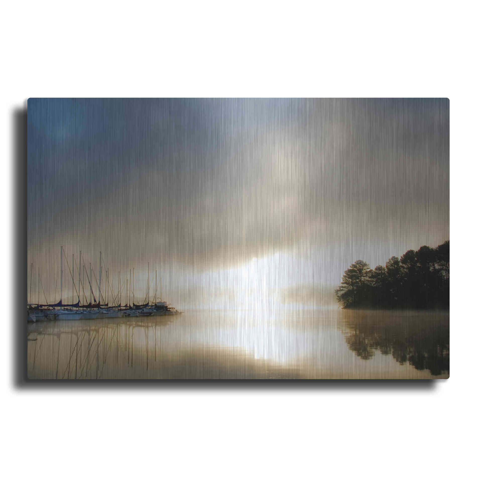 Luxe Metal Art 'Breaking Through I' by Danny Head, Metal Wall Art