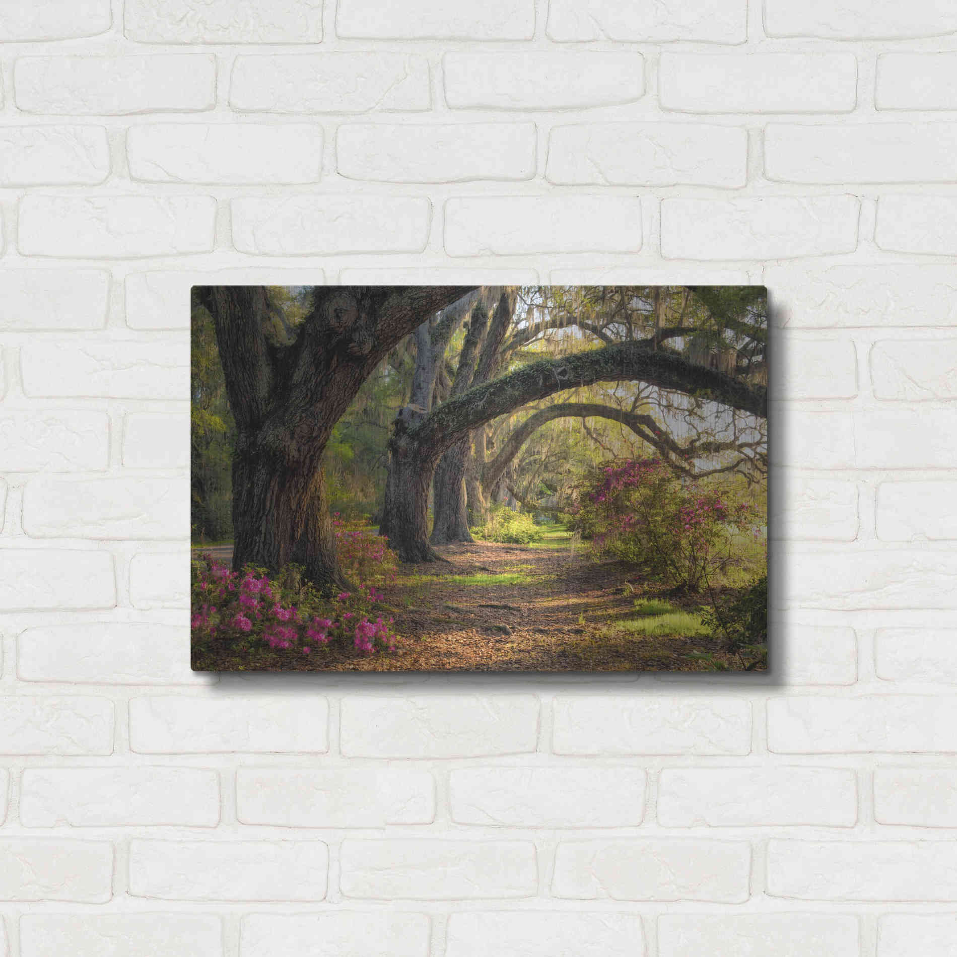 Luxe Metal Art 'Under the Live Oaks I' by Danny Head, Metal Wall Art,24x16