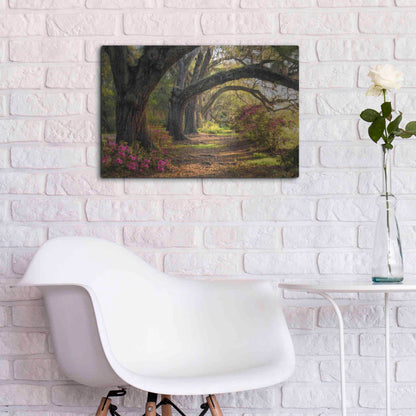 Luxe Metal Art 'Under the Live Oaks I' by Danny Head, Metal Wall Art,24x16