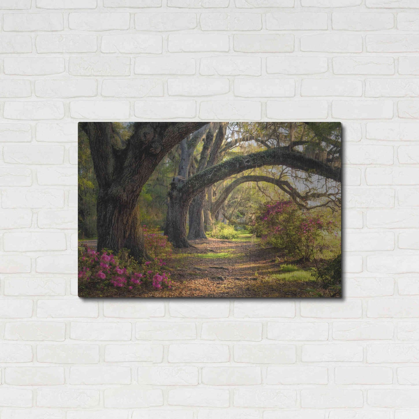 Luxe Metal Art 'Under the Live Oaks I' by Danny Head, Metal Wall Art,36x24