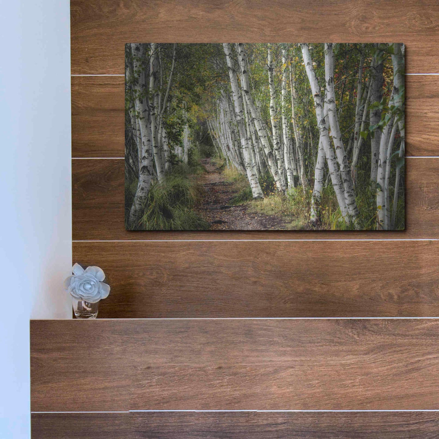 Luxe Metal Art 'A Walk Through the Birch Trees' by Danny Head, Metal Wall Art,16x12