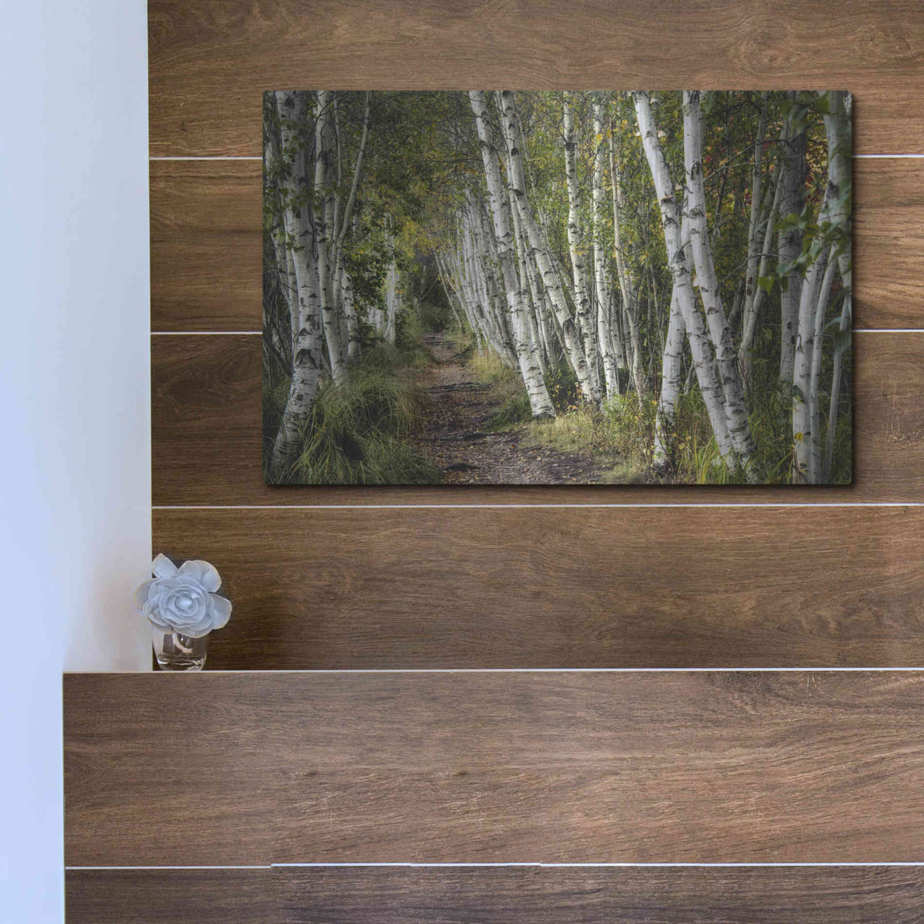 Luxe Metal Art 'A Walk Through the Birch Trees' by Danny Head, Metal Wall Art,16x12
