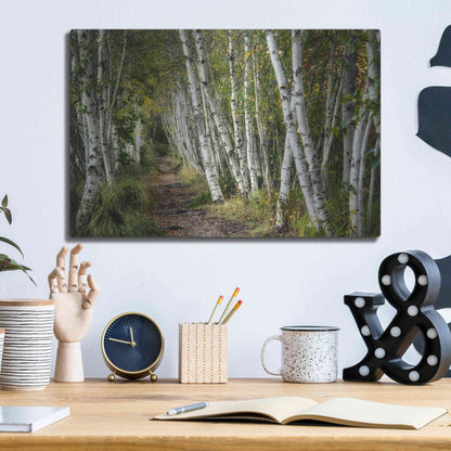 Luxe Metal Art 'A Walk Through the Birch Trees' by Danny Head, Metal Wall Art,16x12