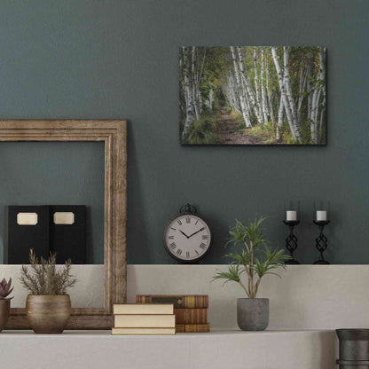 Luxe Metal Art 'A Walk Through the Birch Trees' by Danny Head, Metal Wall Art,16x12