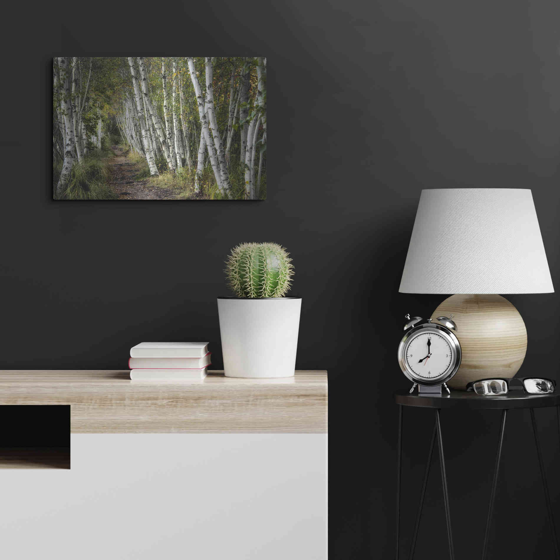 Luxe Metal Art 'A Walk Through the Birch Trees' by Danny Head, Metal Wall Art,24x16