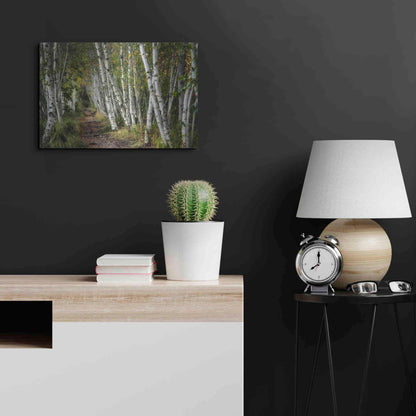 Luxe Metal Art 'A Walk Through the Birch Trees' by Danny Head, Metal Wall Art,24x16