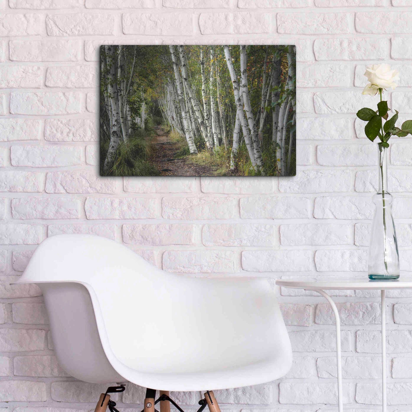 Luxe Metal Art 'A Walk Through the Birch Trees' by Danny Head, Metal Wall Art,24x16