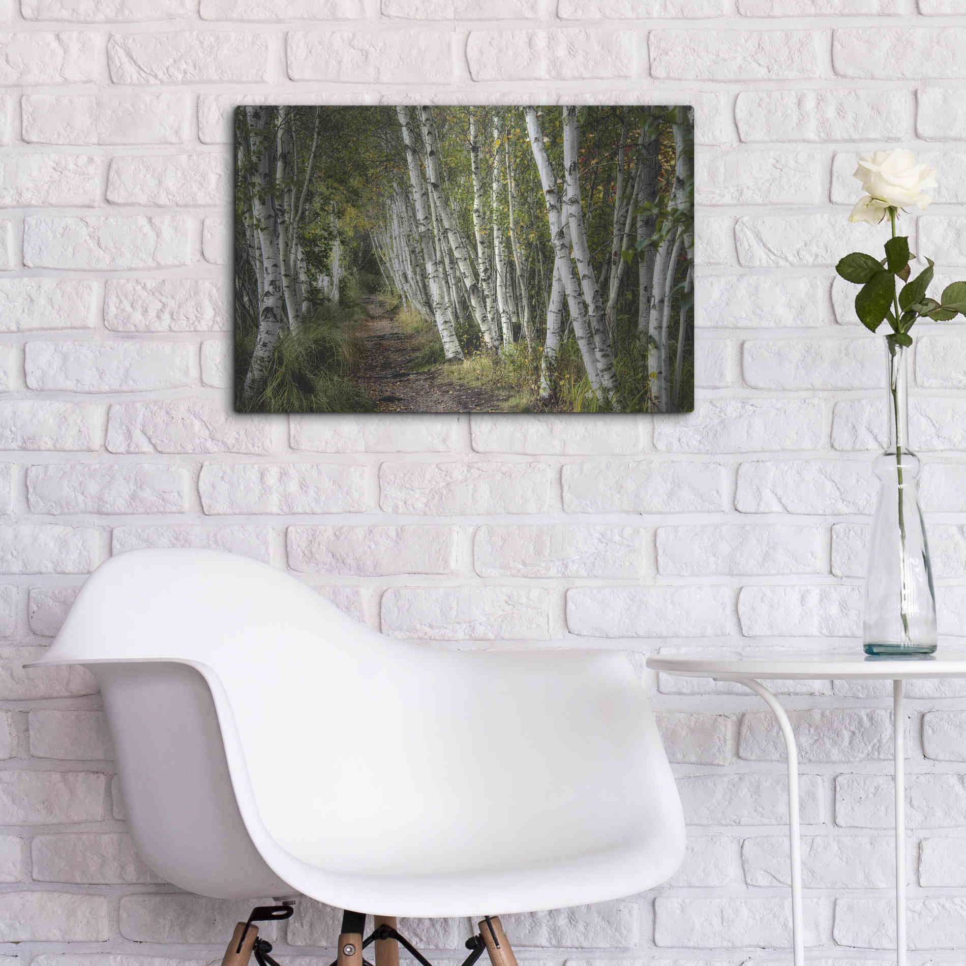 Luxe Metal Art 'A Walk Through the Birch Trees' by Danny Head, Metal Wall Art,24x16