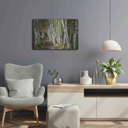 Luxe Metal Art 'A Walk Through the Birch Trees' by Danny Head, Metal Wall Art,24x16