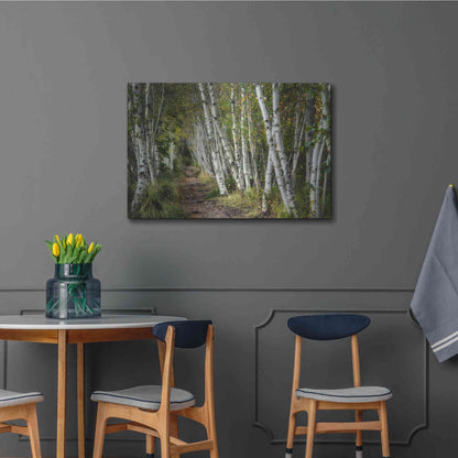 Luxe Metal Art 'A Walk Through the Birch Trees' by Danny Head, Metal Wall Art,36x24
