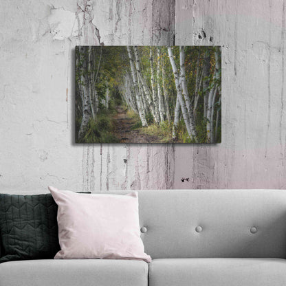 Luxe Metal Art 'A Walk Through the Birch Trees' by Danny Head, Metal Wall Art,36x24