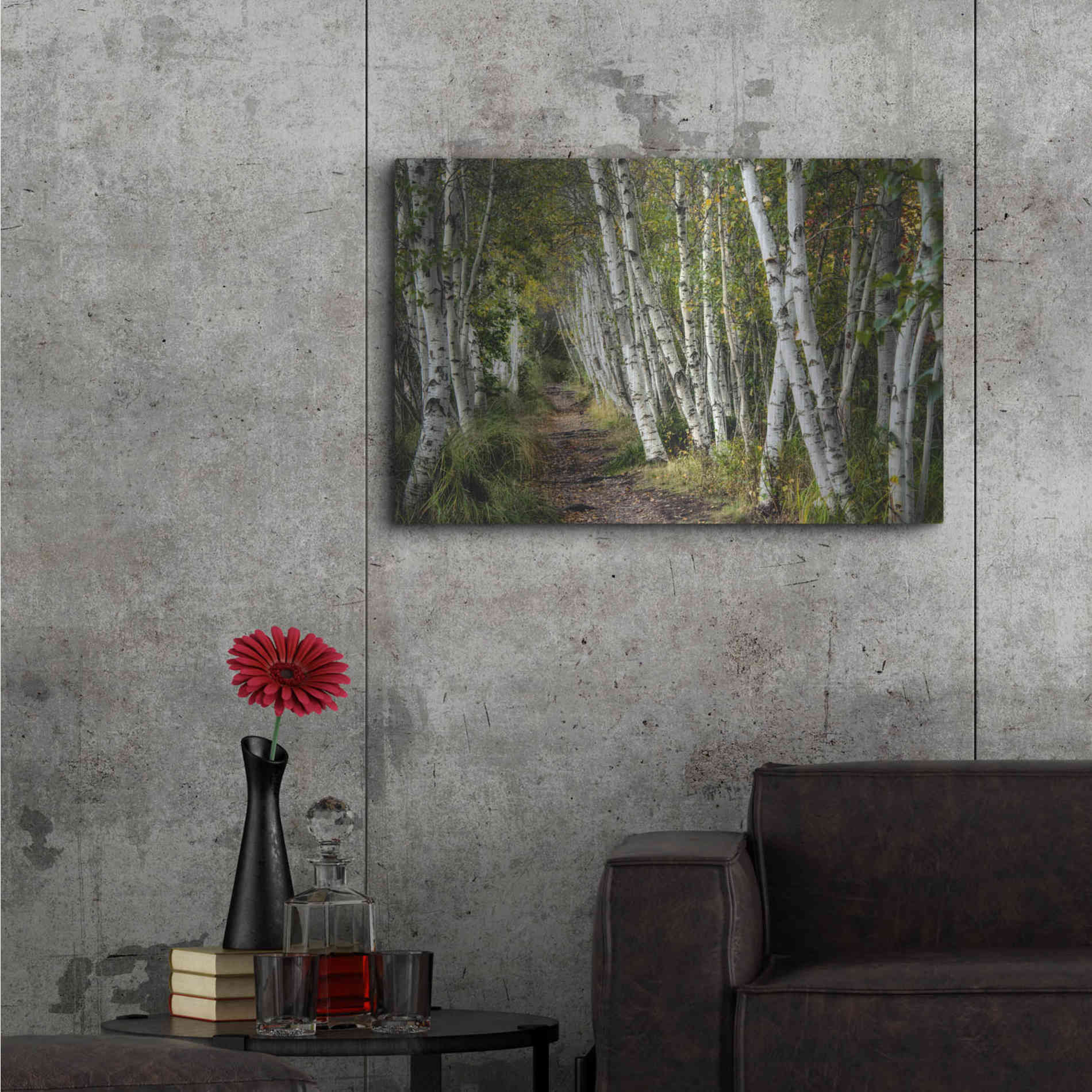 Luxe Metal Art 'A Walk Through the Birch Trees' by Danny Head, Metal Wall Art,36x24