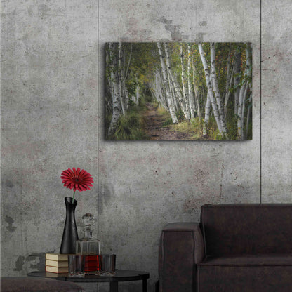 Luxe Metal Art 'A Walk Through the Birch Trees' by Danny Head, Metal Wall Art,36x24